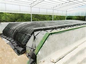 分子膜堆肥发酵有机肥设备